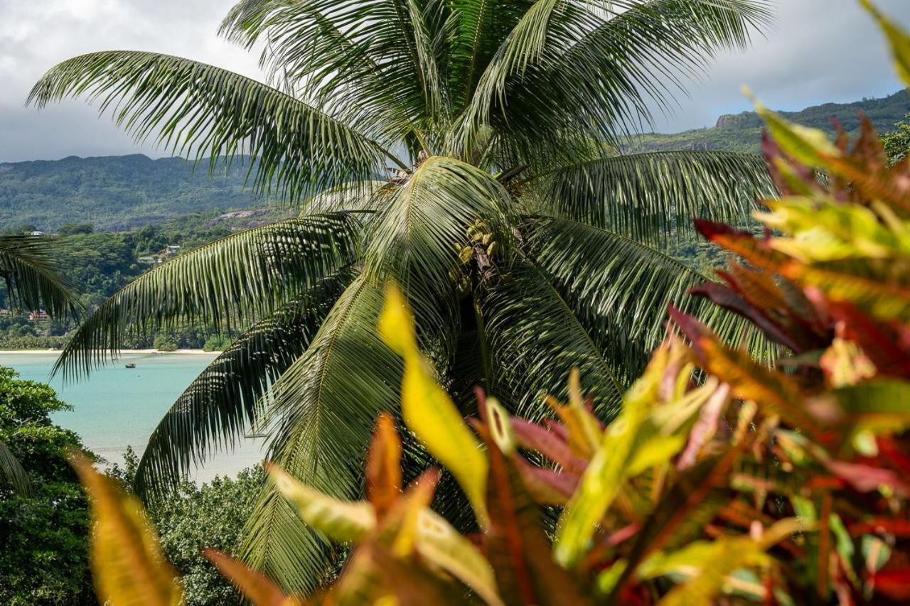 La Residence Baie Lazare  Kültér fotó